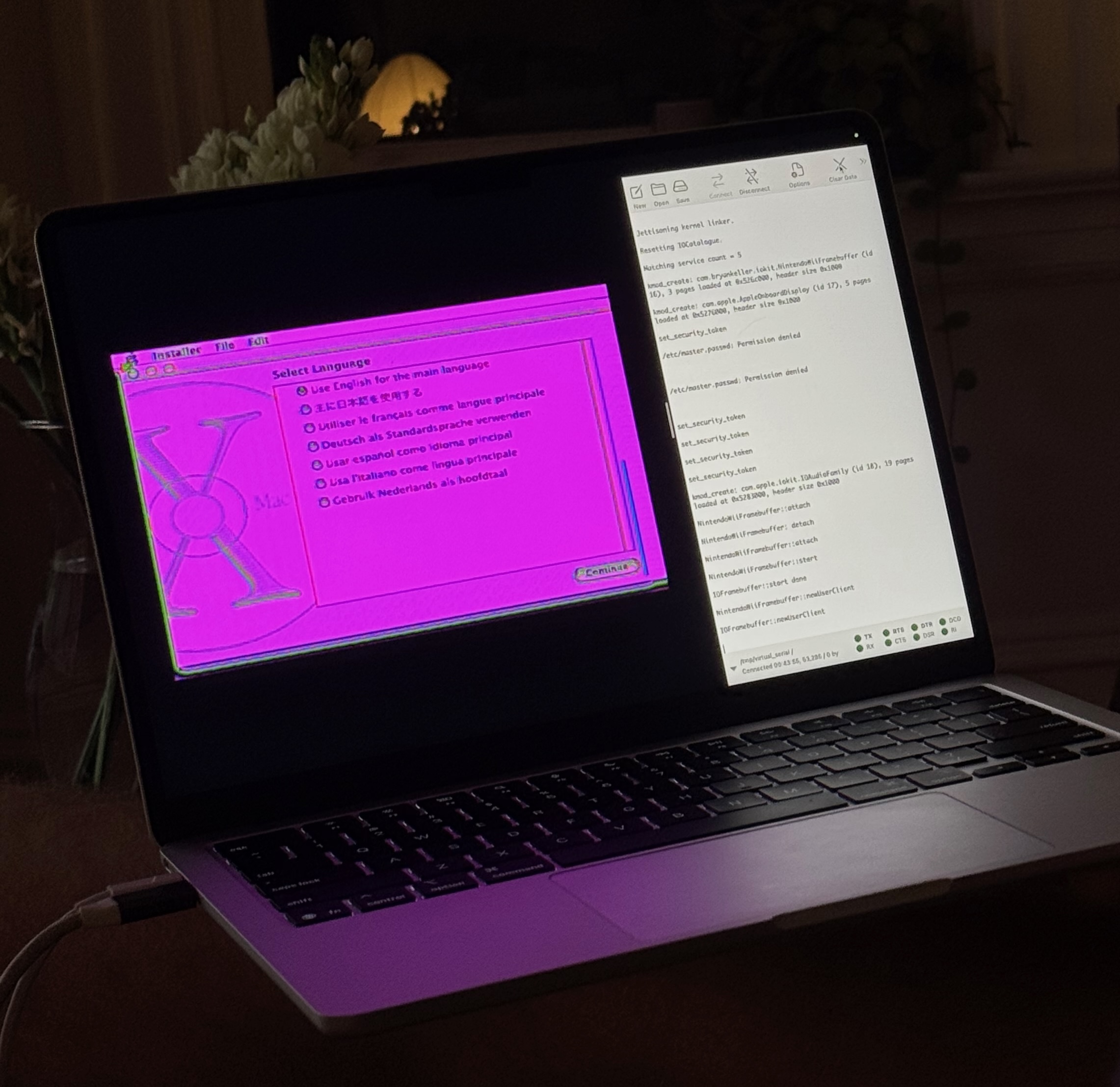 Mac OS X installer with incorrect colors